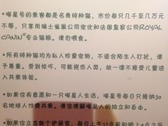 -猫咪博物馆(顶澳仔猫街店)