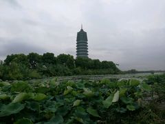 -宝盛水博园大酒店·中餐厅·杭帮菜