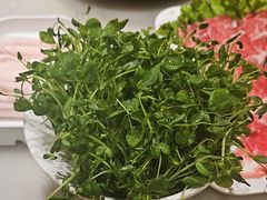 -牛街·马辈儿涮肉(牛街总店)