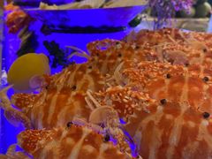 -星璞餐厅(深铁塘朗城君璞酒店)