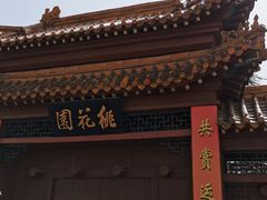 -桃花堤公园