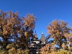 -北京石刻艺术博物馆(五塔寺)