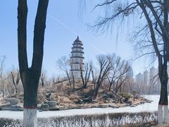 -西宁市人民公园(城西区)