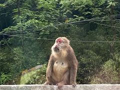 -西岭雪山大飞水景区