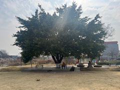 -国际非物质文化遗产博览园