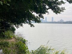 -顺峰山公园