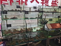 -渔鼎鲜海鲜餐厅(湄洲岛店)