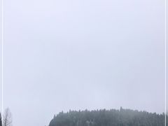-武陵山森林公园