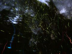 -青山公园萤火虫科普展