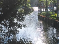 -江心屿景区