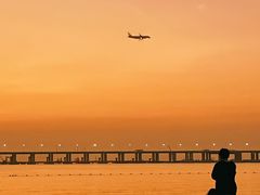 -宝安西湾红树林湿地公园