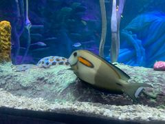 -沈阳海洋探索中心