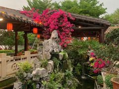 -顺德了能馆(虎门店)
