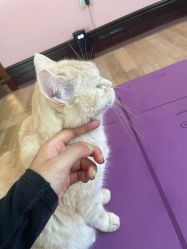 -齐伽生活馆·瑜伽·普拉提·阿育吠陀