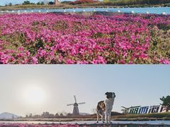 -西海岸生态观光园