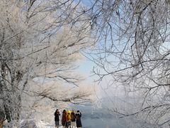 -雾凇岛