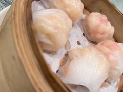 -北园酒家(小北路店)