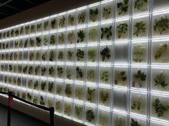 -广东中医药博物馆