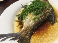 iphone_upload_pic-田园山庄农家乐(石岩店)