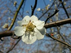 -太子山公园(园东路)