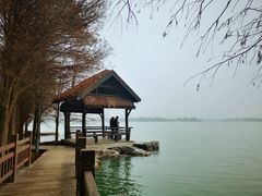 -高子水居
