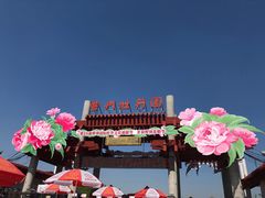 -曹州牡丹园
