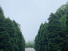 -井冈山革命烈士陵园