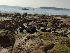 -青岛第二海水浴场