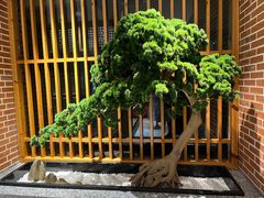 -囍榷·鲜美常州菜(恐龙园店)