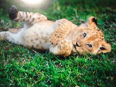 -罗红摄影艺术馆