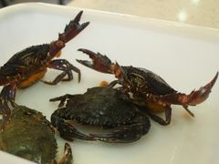-海岸风情蒸汽海鲜自助餐厅(家宴金手勺店)