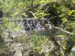 -祁门牯牛降观音堂风景区