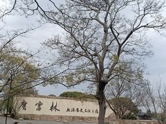 -广富林郊野公园