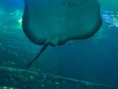 -成都浩海立方海洋公园