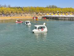 -青龙湖公园
