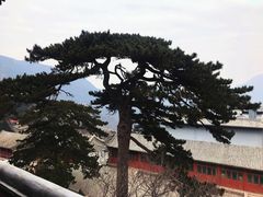 -妙峰山风景名胜区
