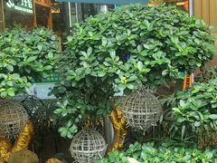 -龙泉人椰子鸡·糟粕醋·地标海南菜(龙昆南店)