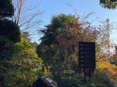 -杭州第一世界大酒店·云曼温泉