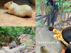 -长鹿旅游休博园