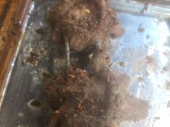 烤羊外腰（小）-宝弟羊汤面(政七街店)