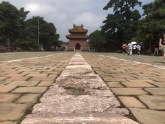 -北陵公园