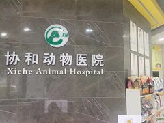 -瑞鹏瑞爱宠物医院·全科·猫科·血液透析中心(龙头寺店)