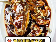 -山外山菜馆(玉泉路店)