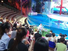 -三亚海昌梦幻海洋不夜城