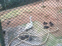 -广东茂名森林公园