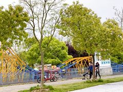 -上海海湾国家森林公园