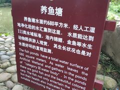 -成都市活水公园
