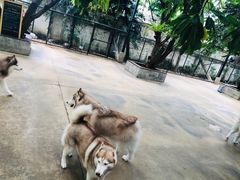 -TrueLove @ Neverland (Husky Cafe)
