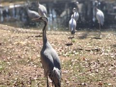 -艾溪湖湿地公园