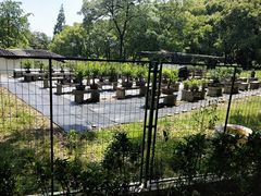 -北京上方山国家森林公园